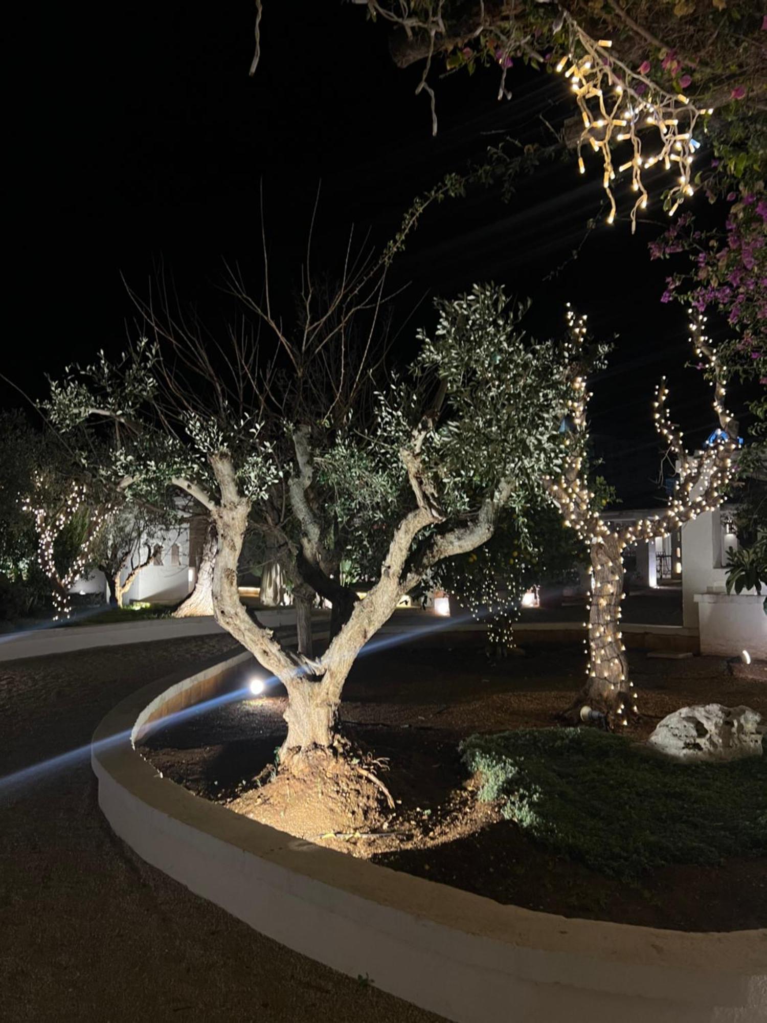 Masseriola Antiche Fogge By Apulia Hospitality Fasano Kültér fotó